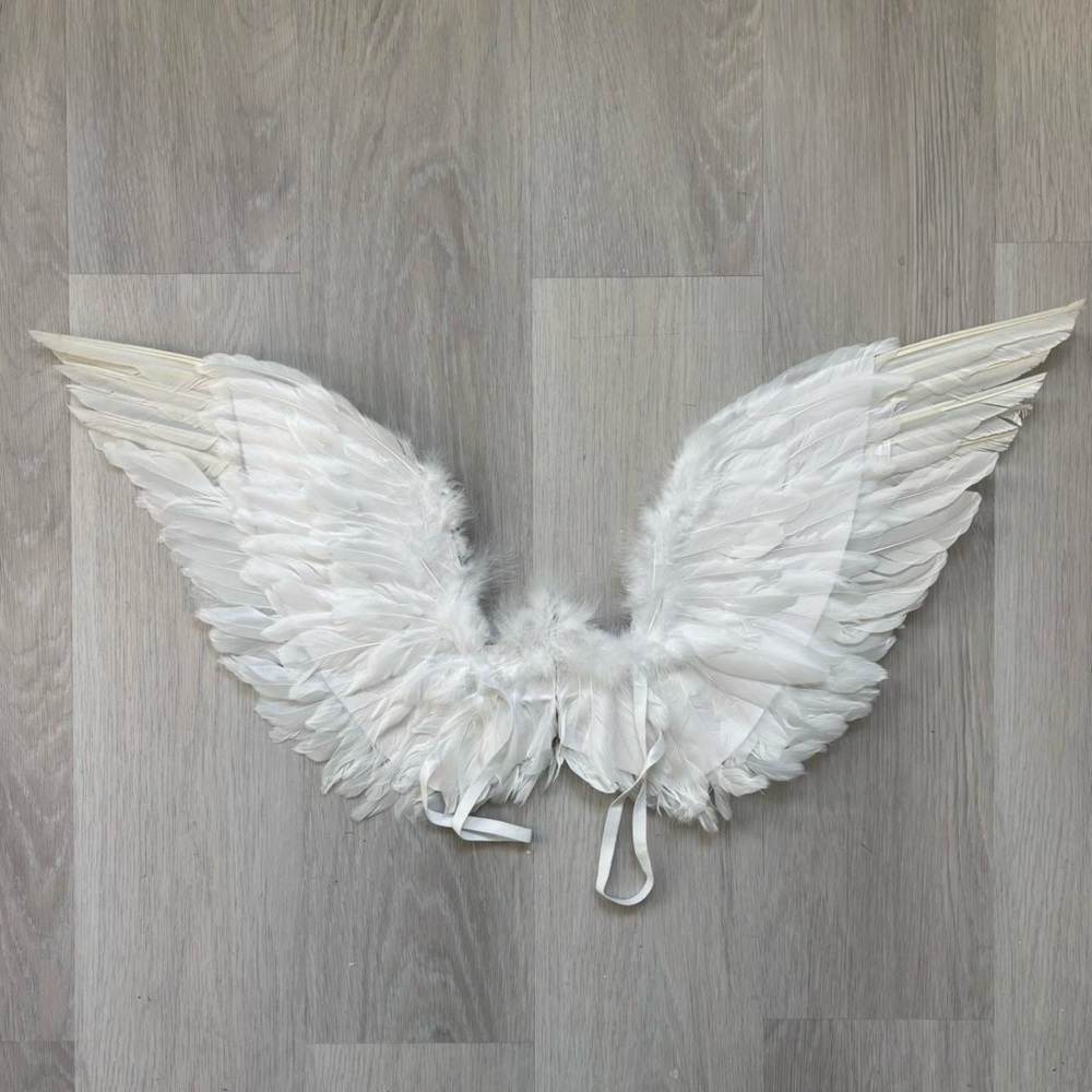 hustler hollywood angel wings